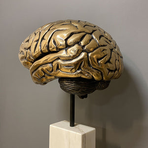 „Gehirn“ | 2021 |  H 162  / B 49 / T 38 cm