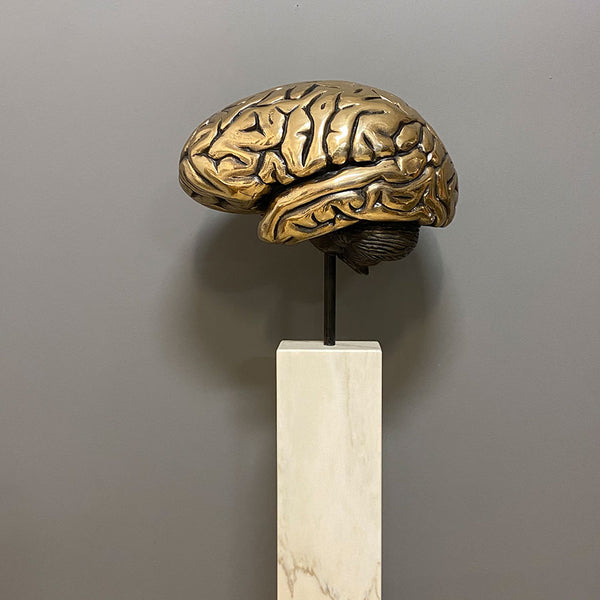 „Gehirn“ | 2021 |  H 162  / B 49 / T 38 cm