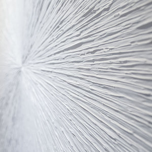 "pureté" | Jörg Minrath | 2021 | 100 x 100 x 2 cm